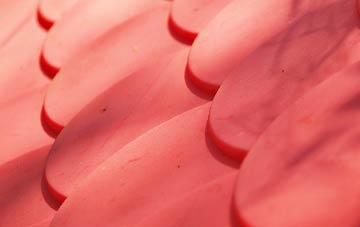 Braidfauld plastic roof costs